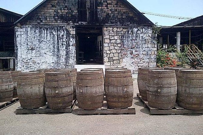 Hampden Estate Rum Tour and Lunch from Montego Bay - Hampden Estate grounds: what “learning rum” looks like in real life