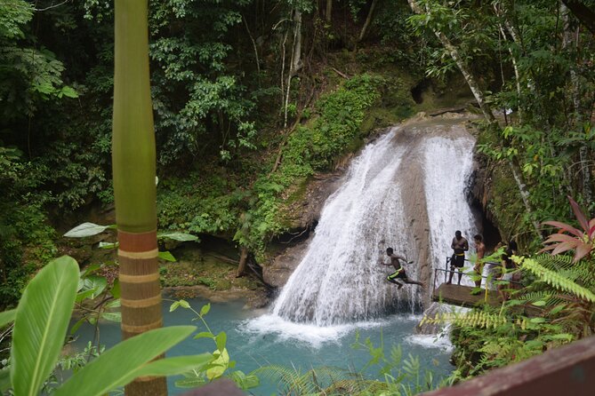 Horse Back Riding and Blue Hole From Montego Bay - Rio Bueno Stop: Local Neighborhood Views and Quick Context