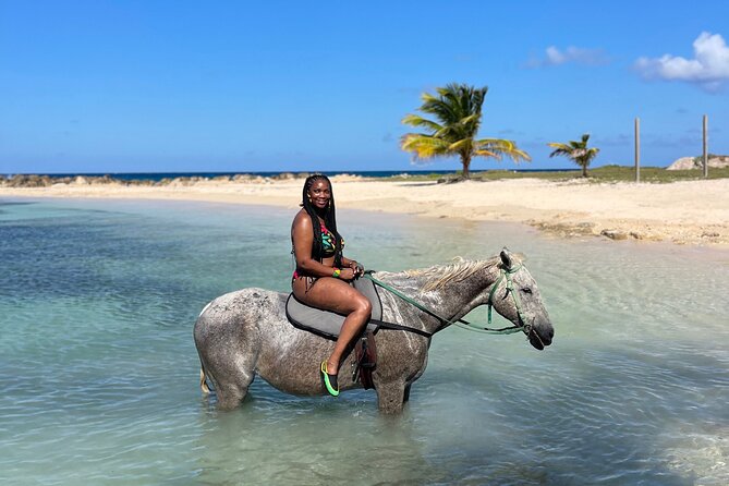 Horseback Ride and Swim Guided Tour from Montego Bay - Key highlights you’ll actually care about