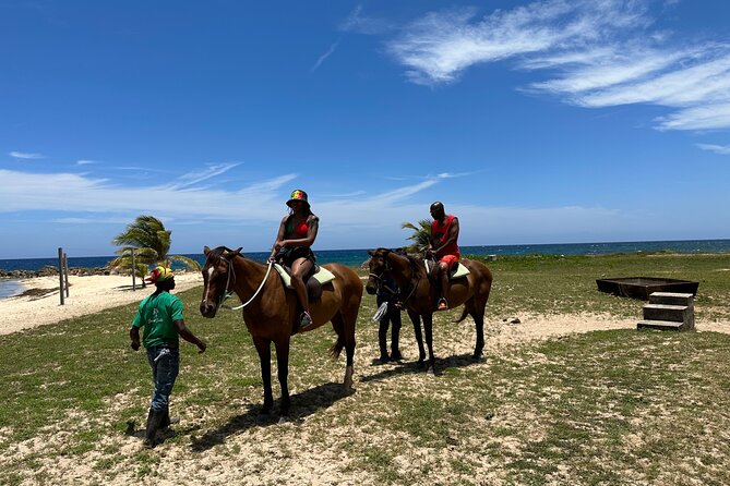 Horseback Ride and Swim Guided Tour from Montego Bay - The return to the beach: the switch from saddle to saltwater