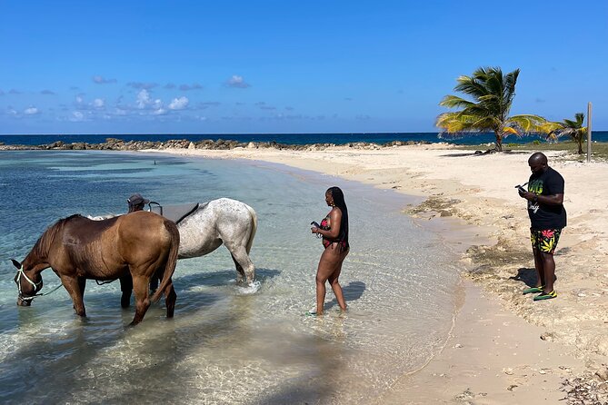 Horseback Ride and Swim Guided Tour from Montego Bay - Swimming with the horse: why it’s fun, and why it might not be for everyone