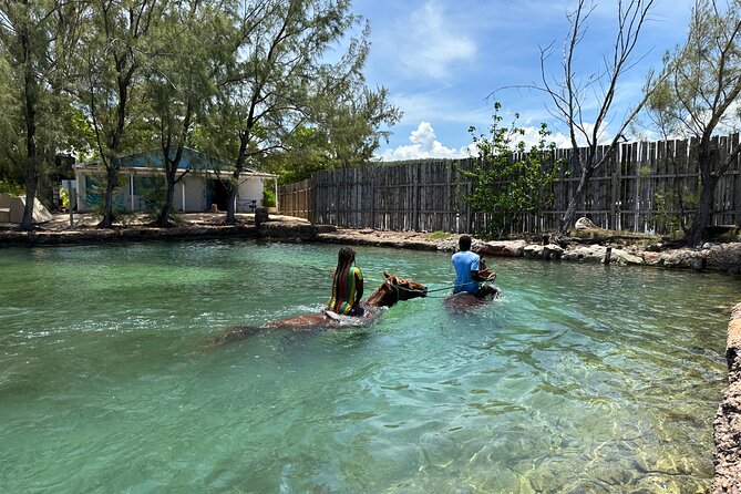 Horseback Ride and Swim Guided Tour from Montego Bay - Practical tips that make the day easier