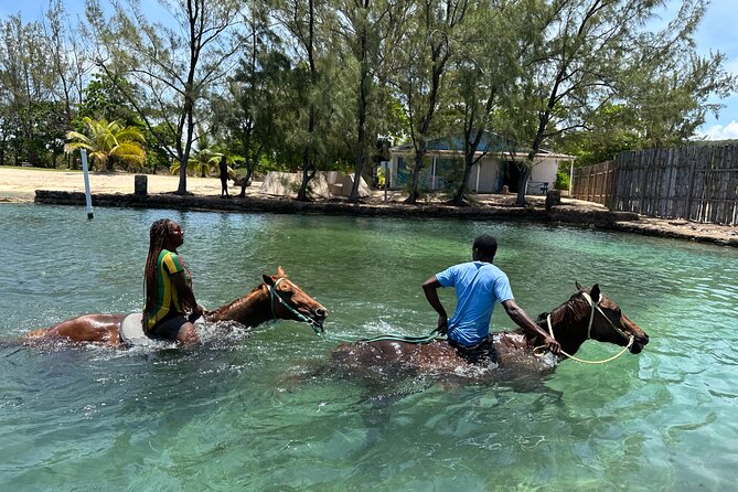 Horseback Ride and Swim Guided Tour from Montego Bay - The 1-hour ride: what you’ll see and what the guides add