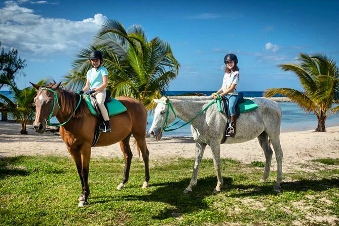 Horseback Ride and Swim Jamaica - Montego Bay pickup and the ride begins