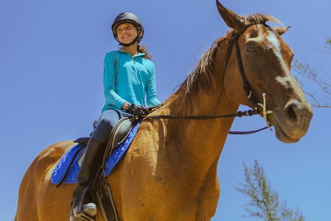 Horseback Ride and Swim Jamaica - Meeting the horses: calm guidance for different riders