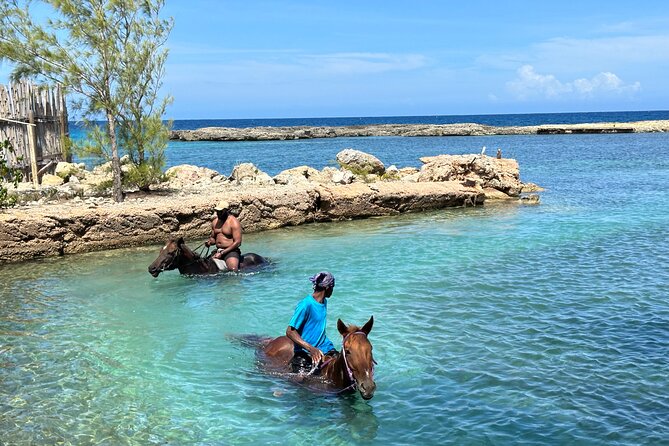 Horseback Ride and Swim Tour In Montego Bay - Price and value: what $170 really buys you