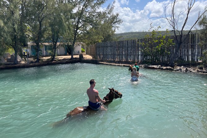 Horseback Ride and Swim Tour In Montego Bay - Group size, privacy, and what “private” may mean for you