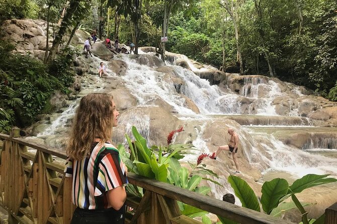 Horseback Ride , Dunns River Falls & Blue Hole From Montego Bay - The $195 value: what you actually get for the money