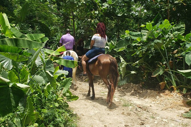 Horseback 'Ride N Swim' & Dunns River Falls from Montego Bay - Quick hits before you go