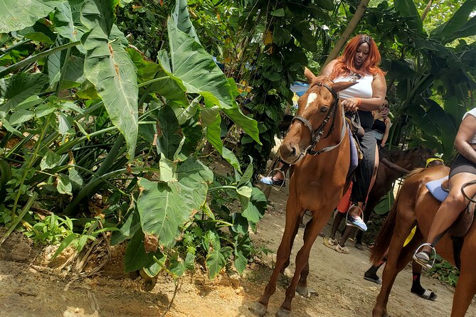 Horseback 'Ride N Swim' & Dunns River Falls from Montego Bay - Why this horseback-and-water combo works so well
