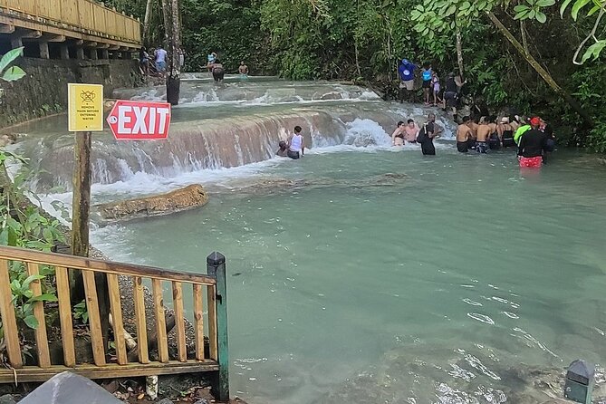 Horseback 'Ride N Swim' & Dunns River Falls from Montego Bay - The horse ride: from lush forest paths to a sea-spray experience