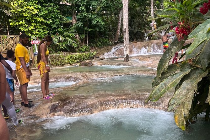 Horseback 'Ride N Swim' & Dunns River Falls from Montego Bay - Dunn’s River Falls: what to expect in an hour