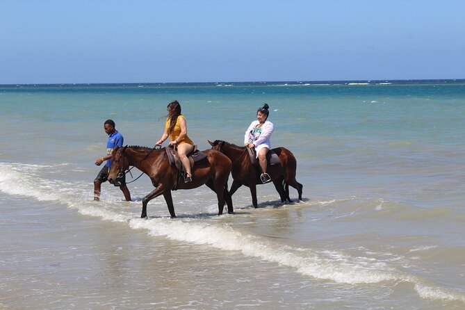 Horseback Ride & Swim Jamaica/Montego Bay - The beach swim: the Caribbean Sea moment you actually came for