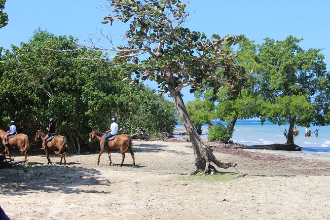 Horseback Ride & Swim Jamaica/Montego Bay - Guides, photo help, and the small-group advantage (max 13)