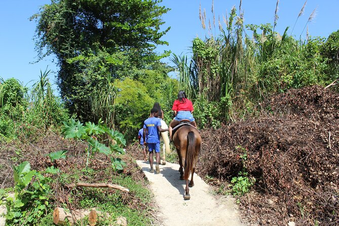 Horseback Ride & Swim Jamaica/Montego Bay - Price and value: what $150 buys you (and what to watch)