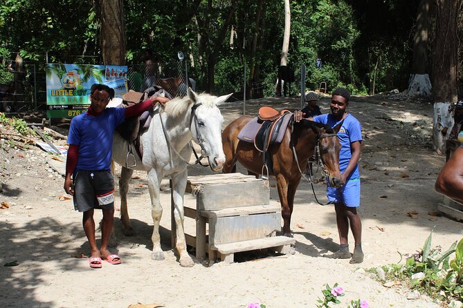 Horseback Ride & Swim Jamaica/Montego Bay - What to ask before you go (so your day matches your expectations)