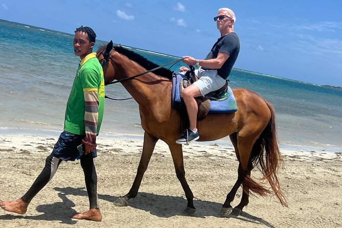 Horseback riding & bluehole secret falls from Montego Bay - Key Highlights You’ll Actually Feel