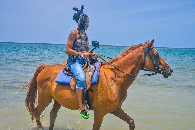 Horseback riding & bluehole secret falls from Montego Bay - Price and Value: Where the $138 Makes Sense (and Where It Doesn’t)