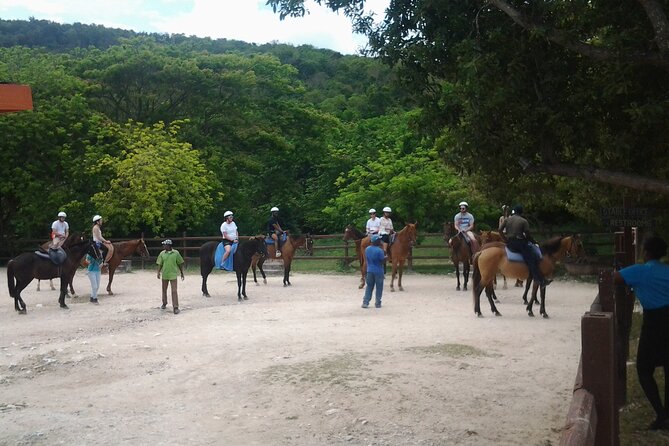 Horseback Riding Dunn's River Falls Adventure from Montego Bay - Horseback Time in the Ocean: What to Expect and How to Read the Mixed Signals
