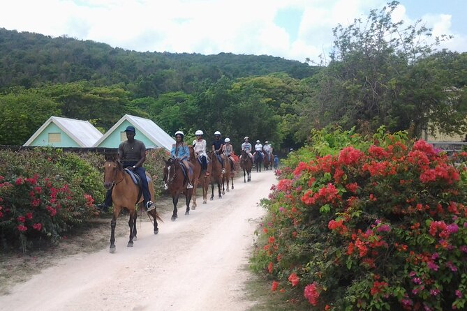 Horseback Riding Dunn's River Falls Adventure from Montego Bay - Guides and Group Size: Why Kevin and Mr. Trevor Matter