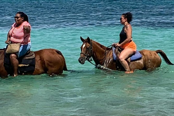 Horseback Riding from Montego Bay - Mammy Bay: Stable Meet-Up and a Community Walk