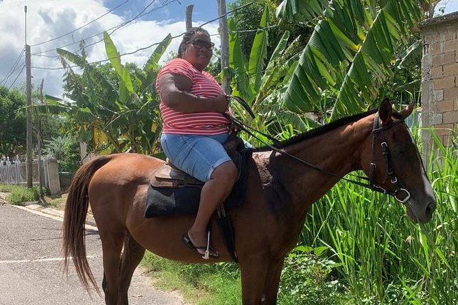 Horseback Riding from Montego Bay - Photos, Bottled Water, and That Comfortable-Enough Pace