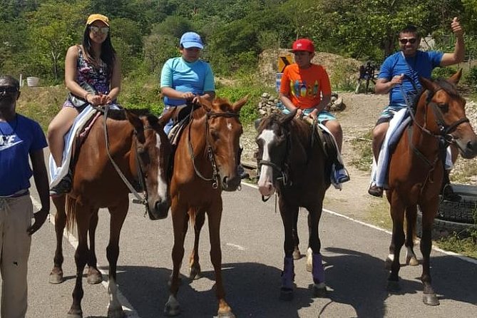 Horseback Riding from Montego Bay - Price: Is $200 a Fair Deal for This Combination?