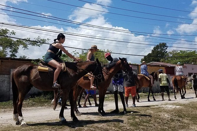 Horseback Riding from Montego Bay - Who This Tour Fits Best (And Who Might Skip It)