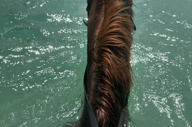 Horseback Riding In The Ocean from Montego Bay Private Transfer - The Scenic Value: Why This Route Feels Worth It