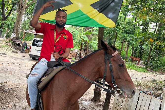 Horseback Riding In The Ocean from Montego Bay Private Transfer - The Horseback Ride in the Ocean (And What That Implies)