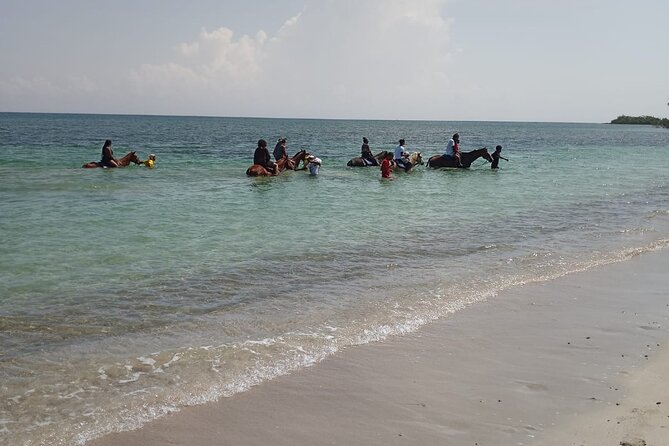 Horseback Riding plus Dunns River Falls Combo Private Tour - What to Bring (So the Wet Climb Doesn’t Ruin Your Day)
