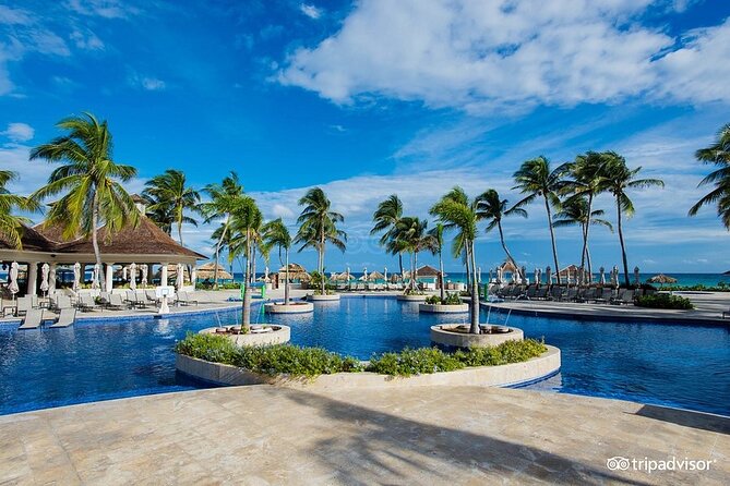 Hyatt Zilara Rose Hall Resort Private Airport Transfer - Punctual, Friendly, and Safe-Feeling Communication
