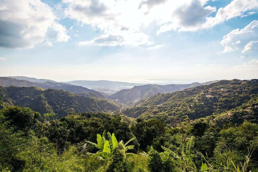 Jamaica: Blue Mountains Full Day Tour with Brunch & Lunch - Leaving the Coast Behind: How the Day Flows (and Why It Matters)