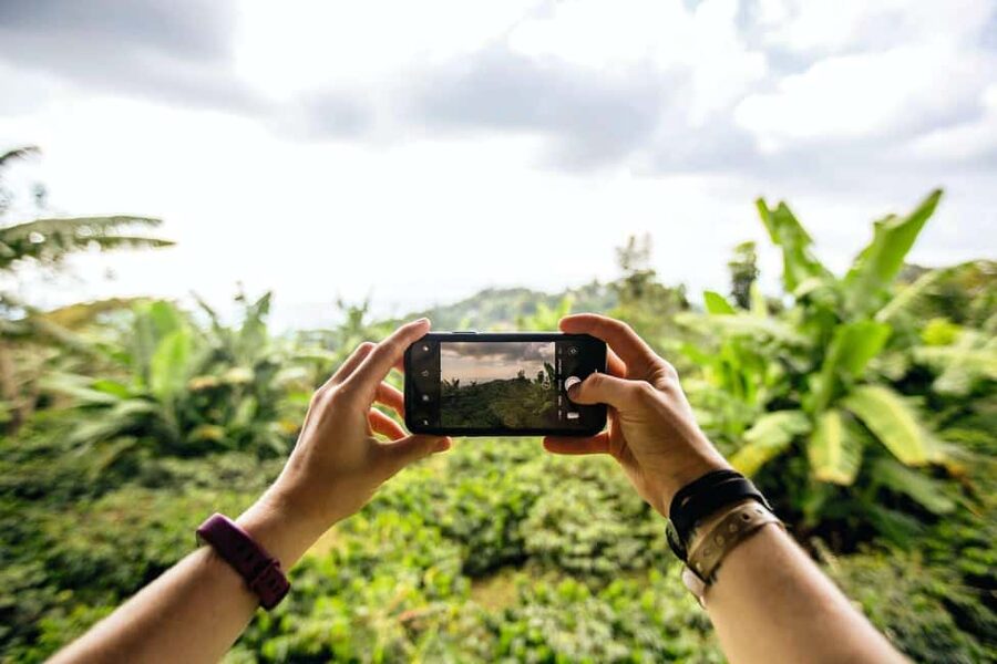 Jamaica: Blue Mountains Full Day Tour with Brunch & Lunch - Blue Mountains Rainforest Time: What You’ll Learn While You Walk