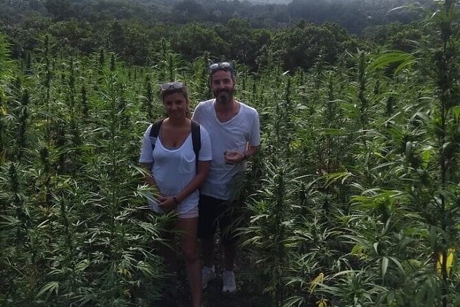 Jamaica Farm Private Dispensary Tour Montego Bay - Sam Sharpe Square: a short stop that adds context