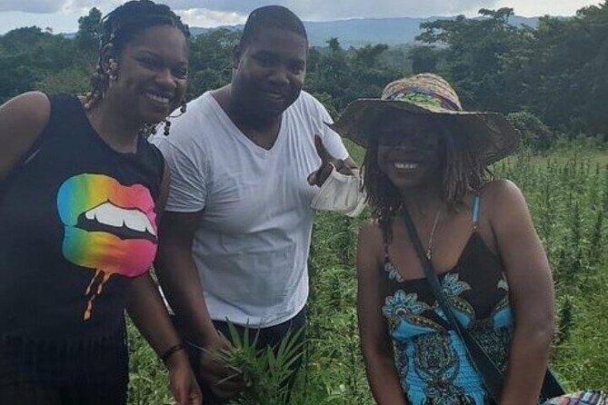 Jamaica Farm Private Dispensary Tour Montego Bay - The farm and dispensary portion: what you’re really going for