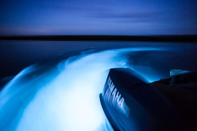 Jamaica Luminous Lagoon Private Tour with Transportation - Price and value: what $128.99 really includes