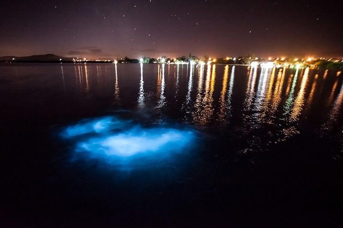 Jamaica Luminous Lagoon Private Tour with Transportation - The boat-and-swim experience: how the glow session works