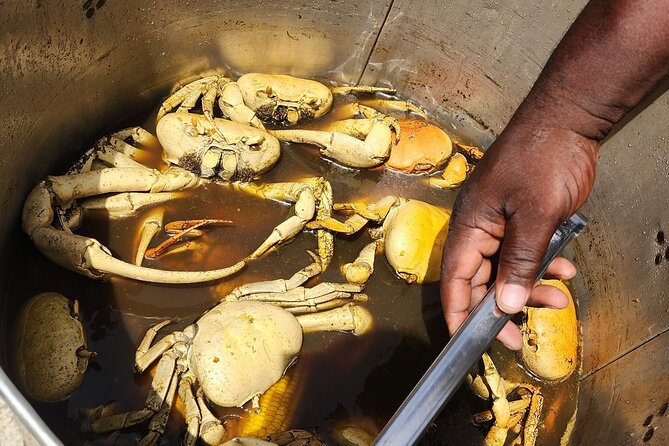 Jamaican Street Food and Rum Tasting Private Tour - Timing, Pickup, and How Not to Let Delays Ruin It