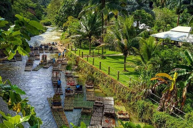Lethe Bamboo River Rafting Tour - Jamaica's Vibest River - Coconut, riverbank shops, and snack time that feels local