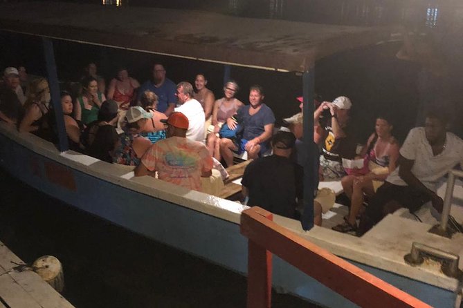 Luminous Lagoon After Dark Tour - The 45-Minute Boat Tour and Swimming Glow