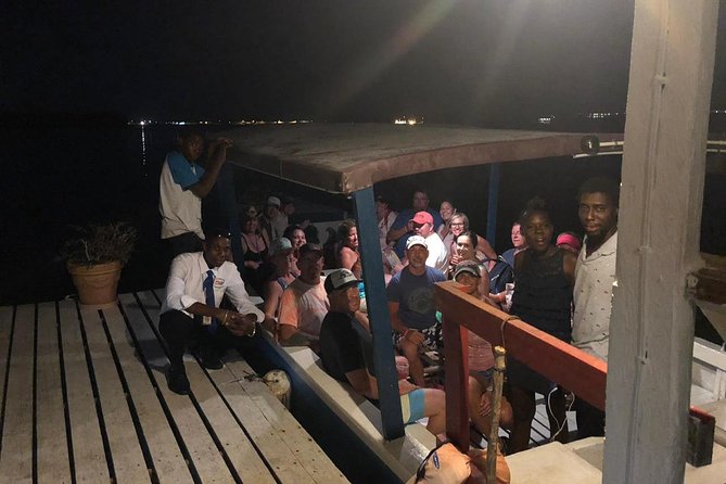 Luminous Lagoon After Dark Tour - Guides Matter: What to Look for When You Meet Your Driver
