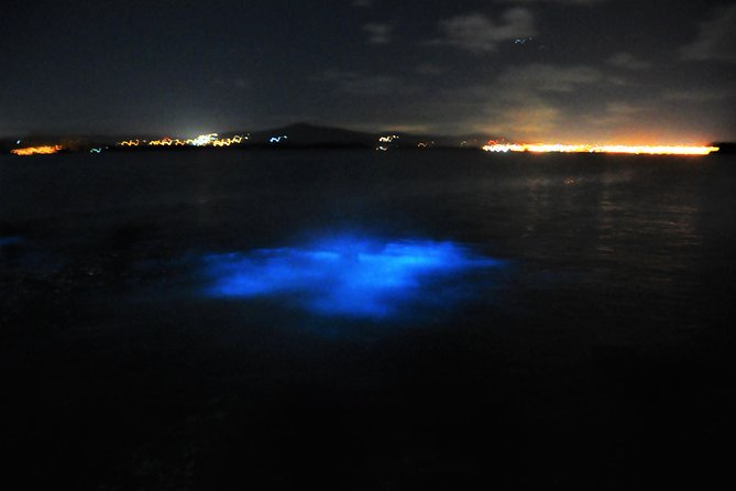 Luminous Lagoon "Glistening Waters" Tour from Grand Palladium Resorts - On the water: what the glass-bottom boat ride really gives you