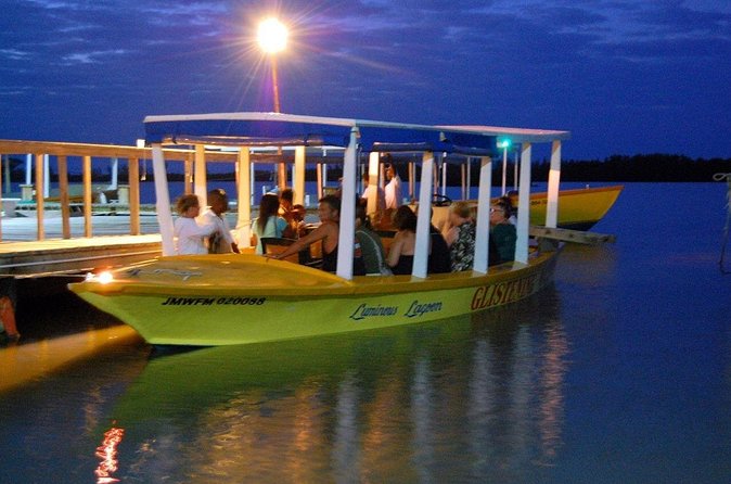 Luminous Lagoon Glow in the Dark Boat Tour from Montego Bay - Who should book this glow ride, and who might want to pass