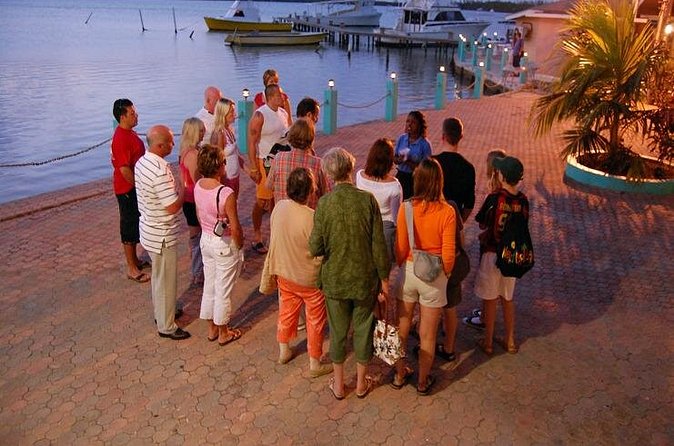 Luminous Lagoon Night Cruise From Montego Bay - Price and value: what you actually get for $95