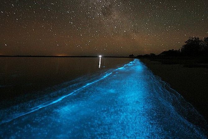 Luminous Lagoon Night-Time Tour from Montego Bay - Who This Tour Suits Best (and Who Might Skip It)