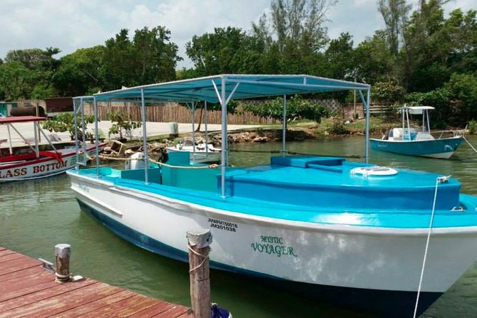Luminous Lagoon Night-Time Tour from Montego Bay - Should You Book the Luminous Lagoon Night Tour?