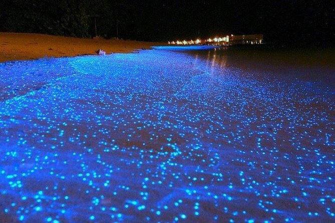 Luminous Lagoon Night-Time Tour from Montego Bay - Getting from Montego Bay (and Grand Palladium) to the Lagoon