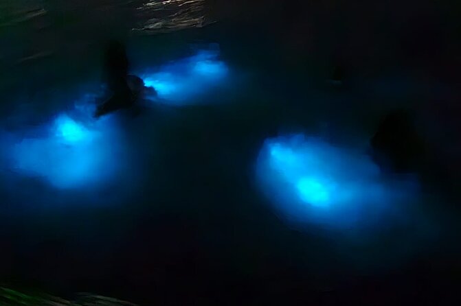 Luminous Lagoon Night Tour and Swim/Fire Dance from Montego Bay - Meeting Montego Bay at 5:30 PM: how the timing really feels