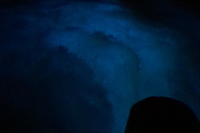 Luminous Lagoon Night Tour and Swim/Fire Dance from Montego Bay - The road through Falmouth: quick history, real local flavor